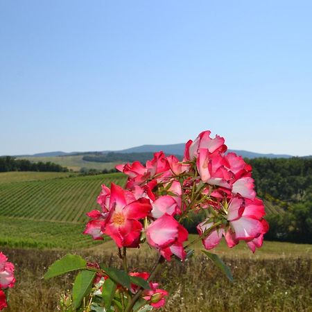 Agriturismo Cignanbianco كاستيلّينا إنْ كْيانت المظهر الخارجي الصورة