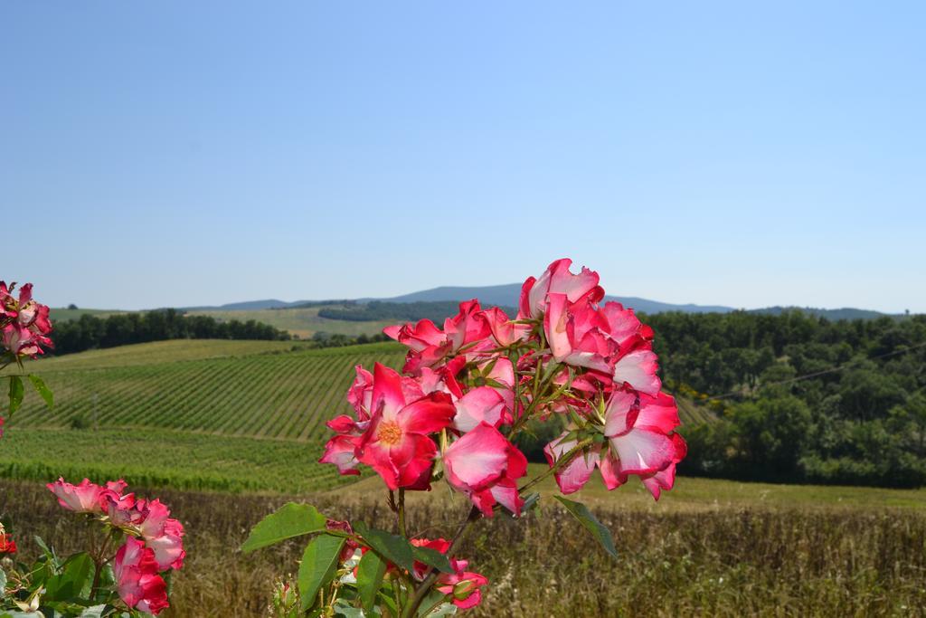 Agriturismo Cignanbianco كاستيلّينا إنْ كْيانت المظهر الخارجي الصورة